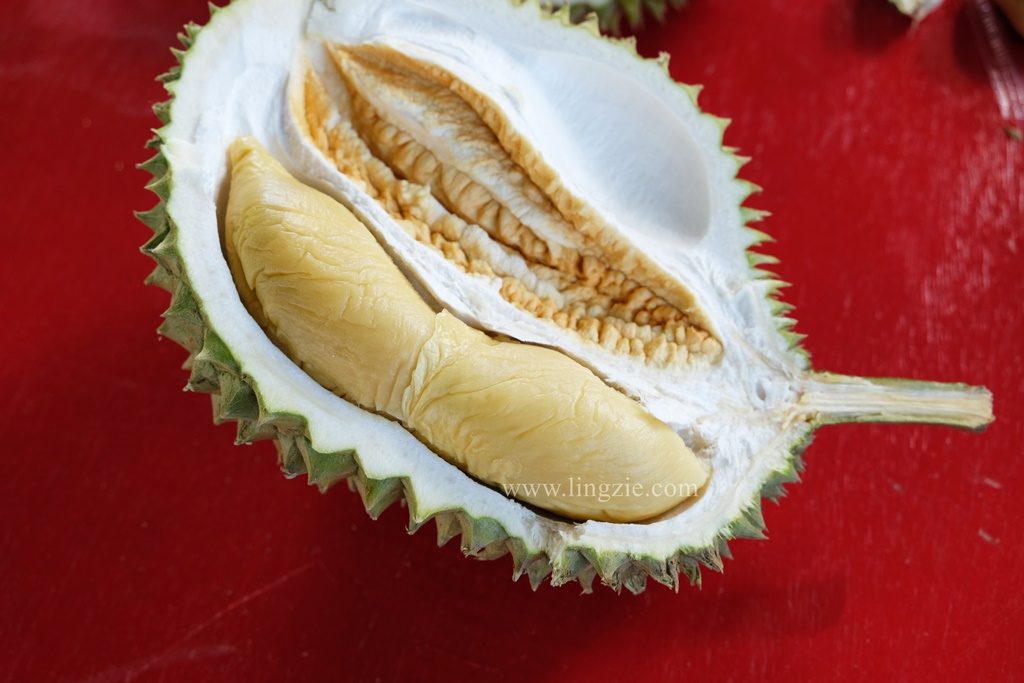 Penang Durian, Balik Pulau Durian, Penang Food Blog, Lingzie Food Blog