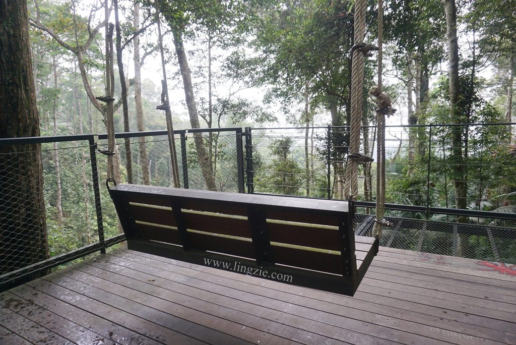 The Habitat, Penang Hill, Penang Attractions, Penang Food Blog, Treetop Walk, Visit Penang